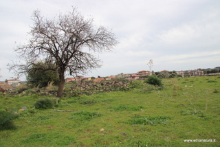 ammena-26-02-2023 14-20-15